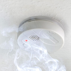 Smoke Testing & Alarms